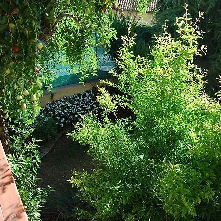 La Maison Jujube *
