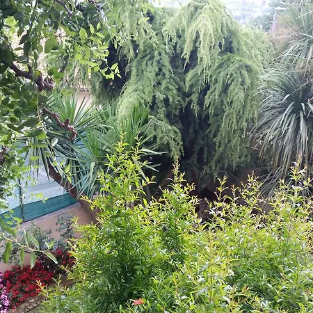 La Maison Jujube